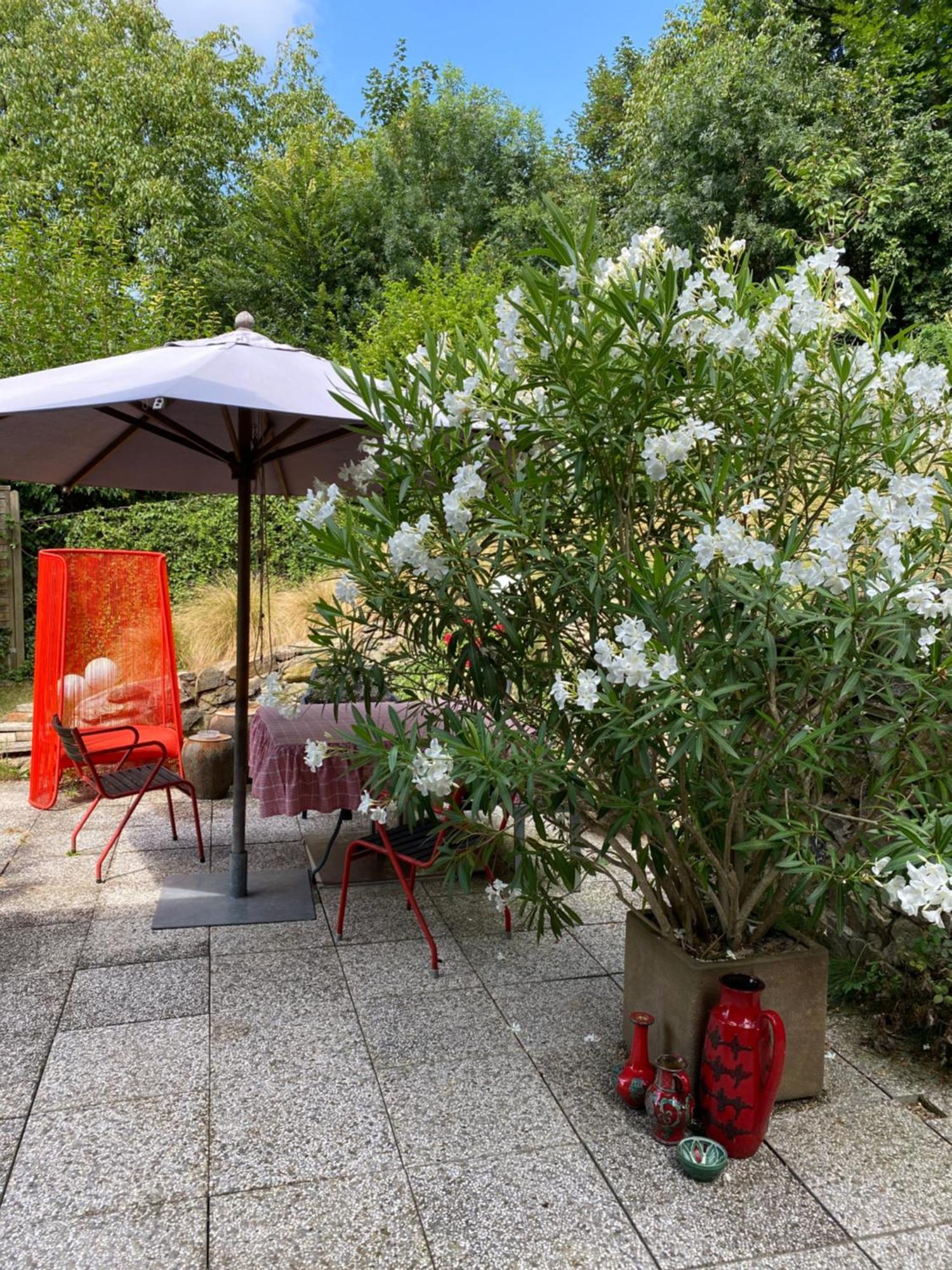 Jules&Jim Gaestehaus ลินซ์ ภายนอก รูปภาพ